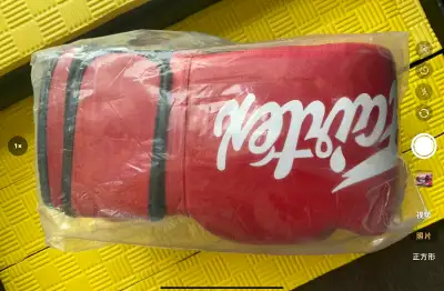 Fairtex Muay Thai Boxing Gloves 14 oz, View more