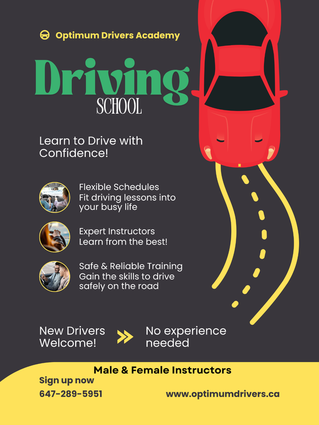 Driving Lessons ( MTO Approved & Experienced Instructors)64849801638401120