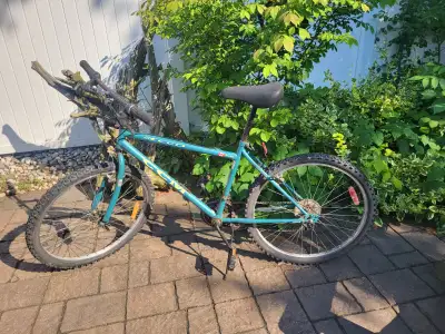 Nice CCM kid's bicycle  18 inches, View more