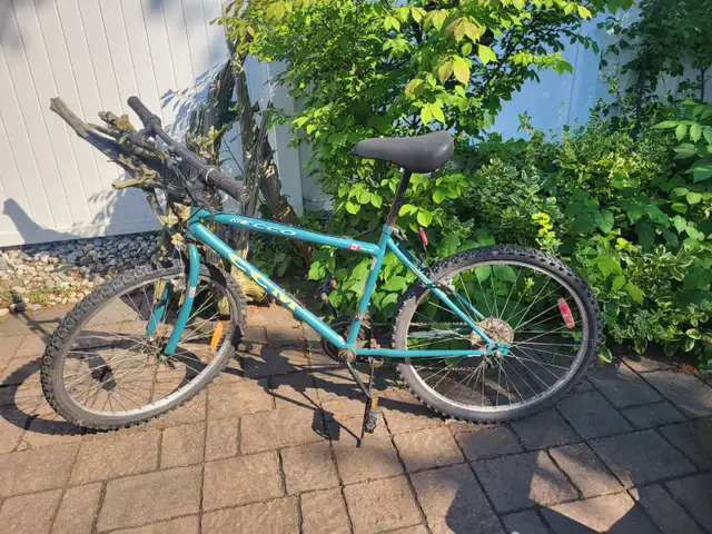 Nice CCM kid's bicycle  18 inches in Kids in Hamilton - Image 2