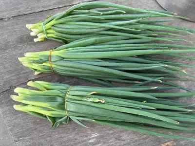 green onions from my garden, View more
