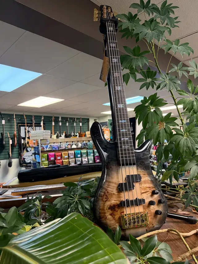 Spector Euro Custom 5 String - Natural Black Burst