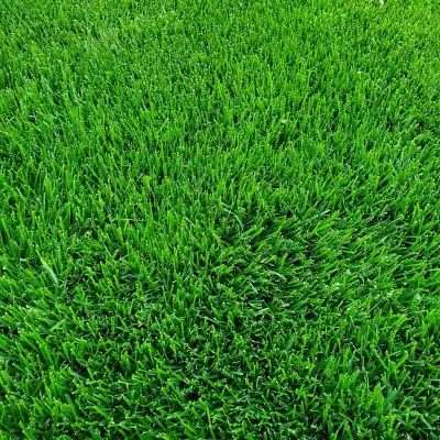 High quality grass cutting, View more