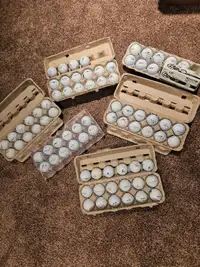 Top Flite, Maxfli / Noodle gently used golf balls - see prices