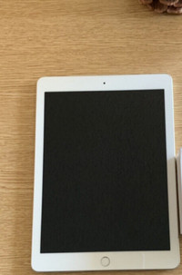 Apple iPad 4 mini Wi-Fi - 4th Gen, 32GB