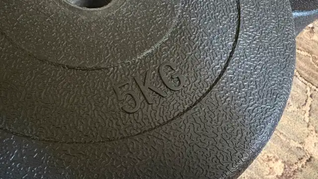 Weight plates (disks) in Exercise Equipment in City of Toronto - Image 3