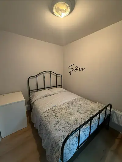 room for rent near Kensington Market