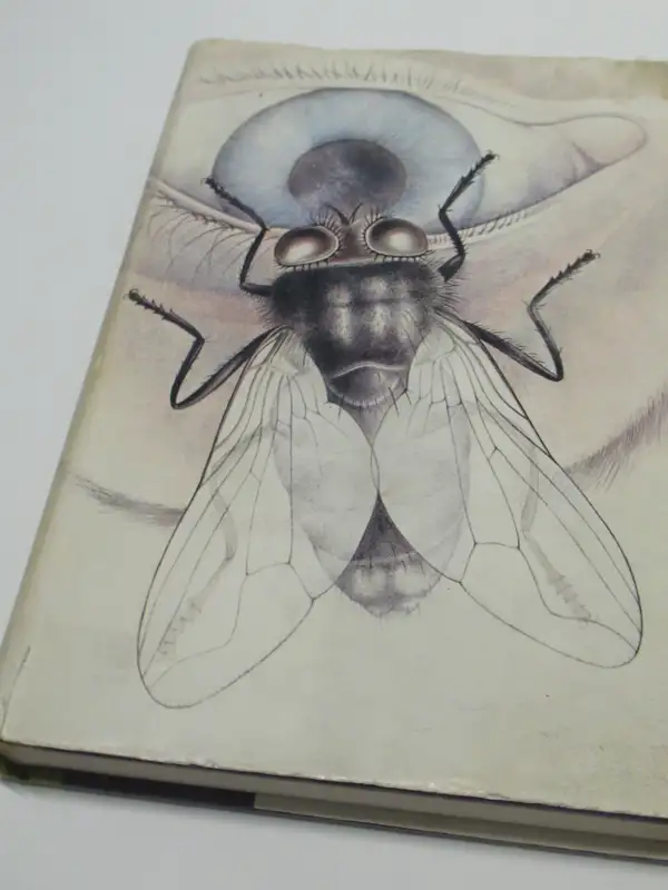 THE FLY RICHARD CHOPPING  FIRST  PRINTING  1965  U.S.A. in Fiction in London - Image 2