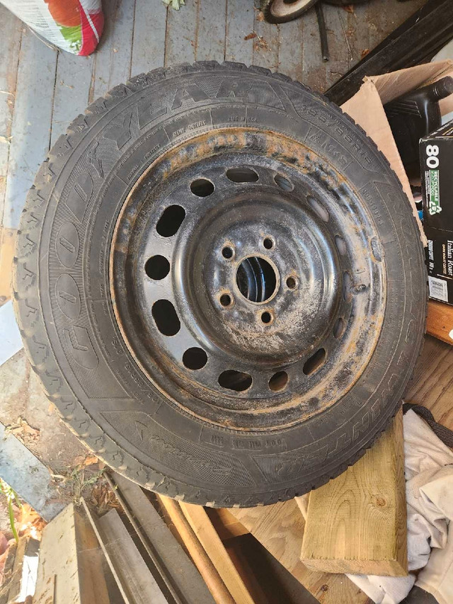 For Honda civic  in Tires & Rims in Ottawa - Image 4