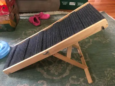 Small dog folding ramp. It fits nicely under the bed when not in use. We no long have a dog.