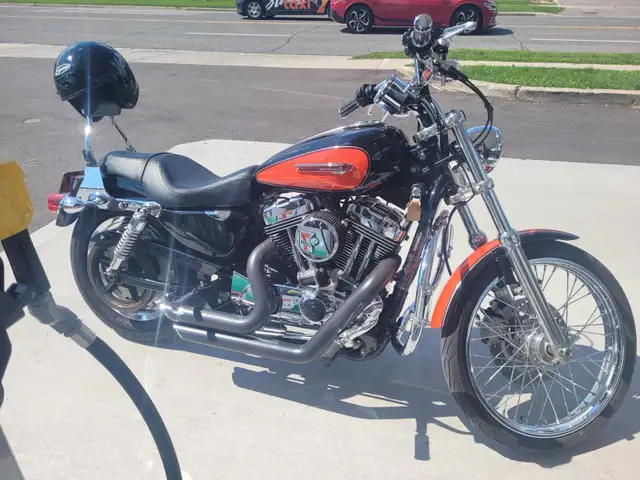 2008 Harley Davidson Sportster 1200XL in Street, Cruisers & Choppers in Kitchener / Waterloo - Image 4