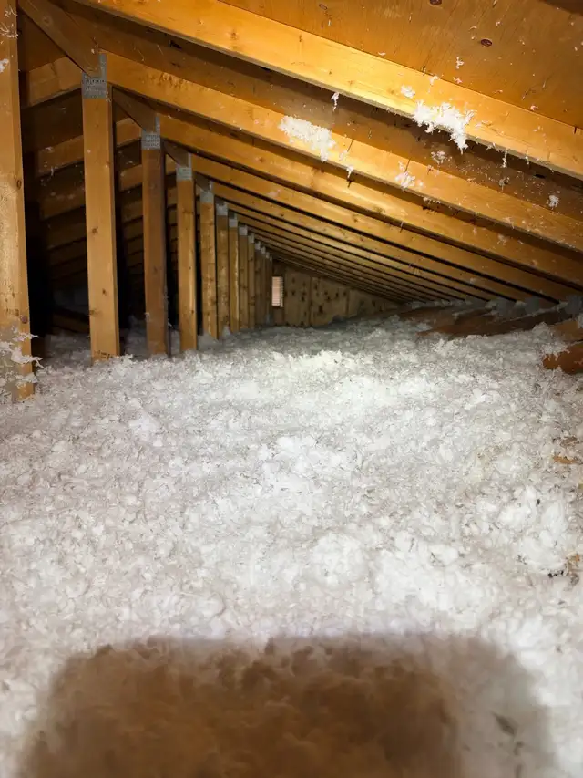 Attic Insulation577858272798986241