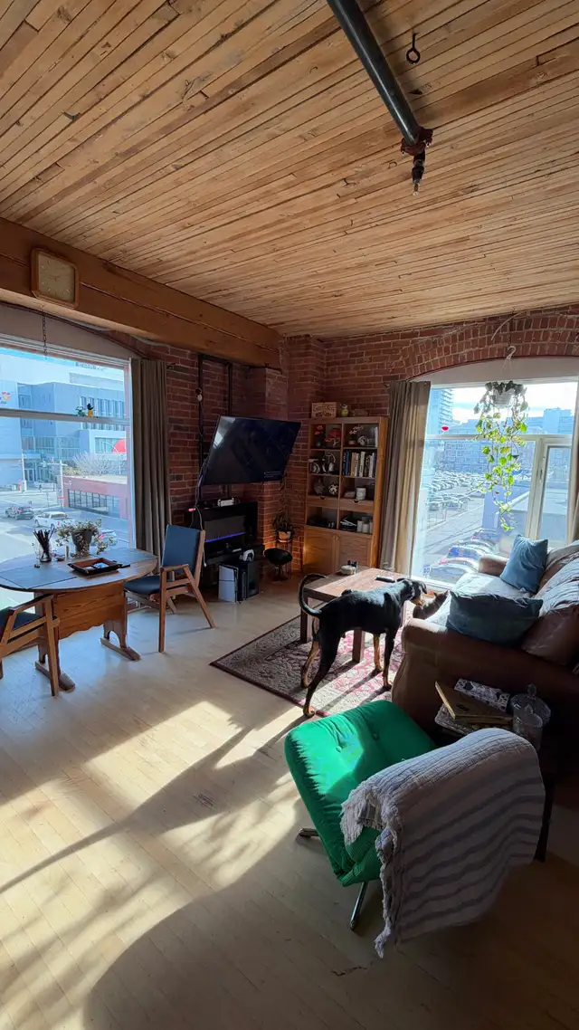 Experienced Habdyman - Small Repairs & Home Maintenance