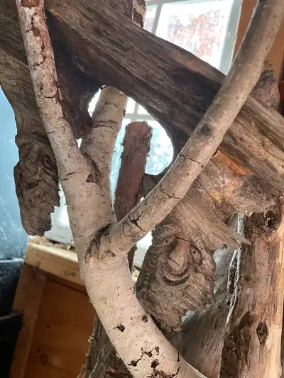 Variety of Long Skinny Pieces of Wood, View more