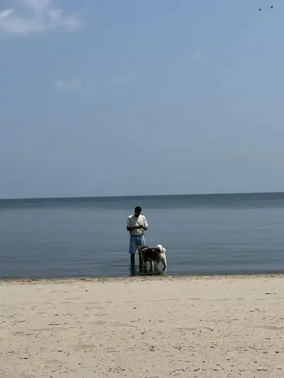 Experienced dog walker throughout halton hills, primarily Georgetown, acton & Rockwood! Very afforda...