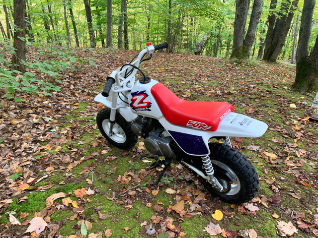 HONDA Z-50R 1996 (rare et original) dans Hors route et motocross  à Laval/Rive Nord - Image 2