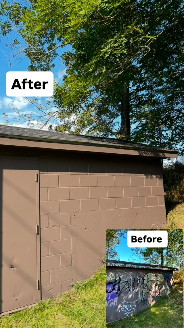 Expert   Painters.443342053914060805
