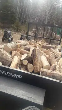 Firewood pine