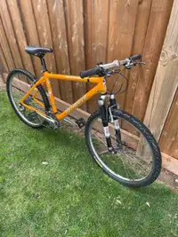 Specialized Stumpjumper mountain bike 