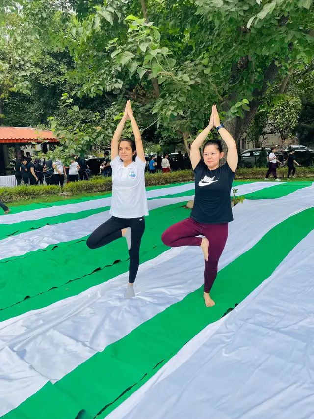 Yoga Classes for Beginners - Online and Offline65137378628866122