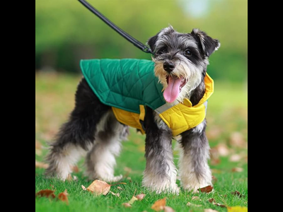 Dog Quilted Jacket, View more