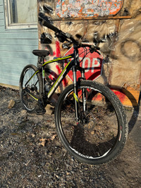 Specialized Expert 29ER NEED GONE ASAP 