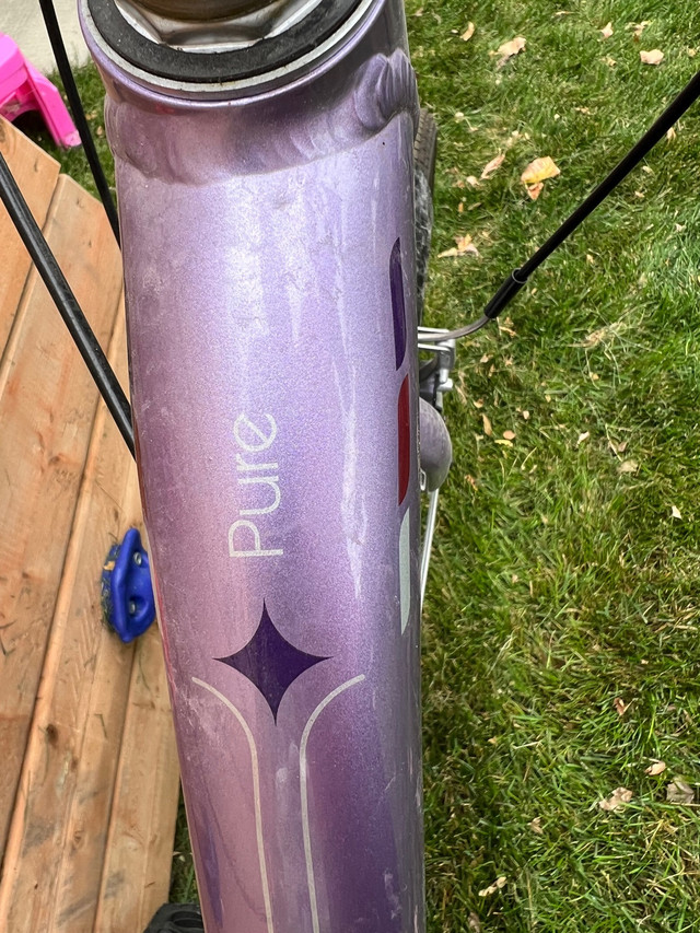 Trek Pure Bicycle $400 in Cruiser, Commuter & Hybrid in Winnipeg - Image 2