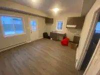 1 Bedroom apartment for rent - From June 1st