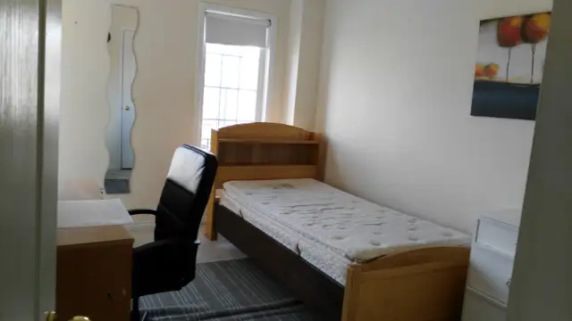 york university bright bedroom for rent:free internet,laundry,ut Image# 1