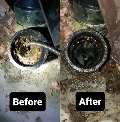Plumbing for just over 4 years specializing in drain cleaning. Looking to take on some more work on...