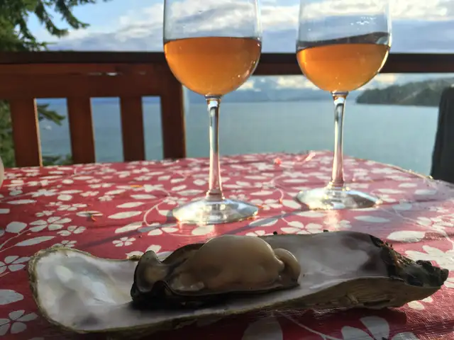 Stunning waterfront cabin on hidden gem of an island! in British Columbia in Canada - Image 11