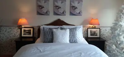 $20 working wall sconces (2) for your bedside., View more
