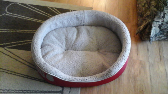 Kong dog bed in Accessories in St. Albert