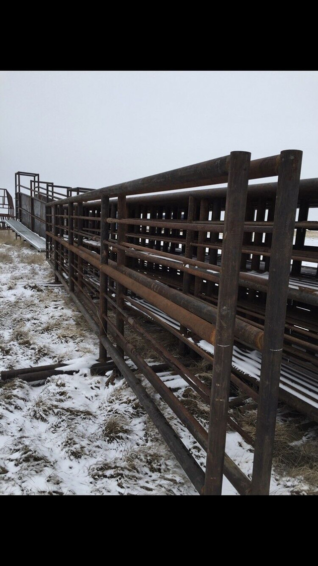 Cattle and farm equipment, signs, fire pits  in Welding in Swift Current