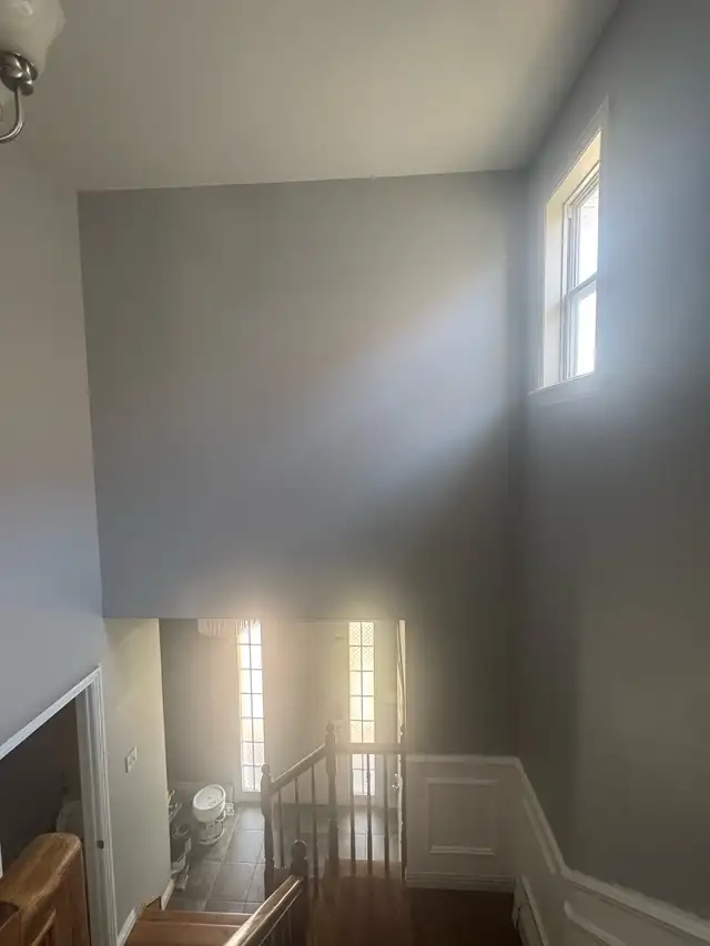 painter available64689495415553124