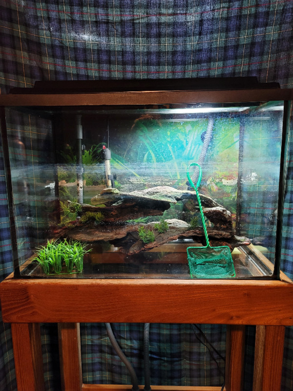 20 gallon fish tank with cannister filter and stand. in Accessories in Kitchener / Waterloo - Image 3