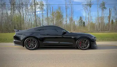 2022 Mustang Mach 1 -23000 km -10 speed automatic. -PPF on the front end, Partial roof and a pillars...