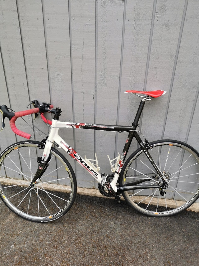 Opus Vivace carbon road bike Road City of Halifax Kijiji