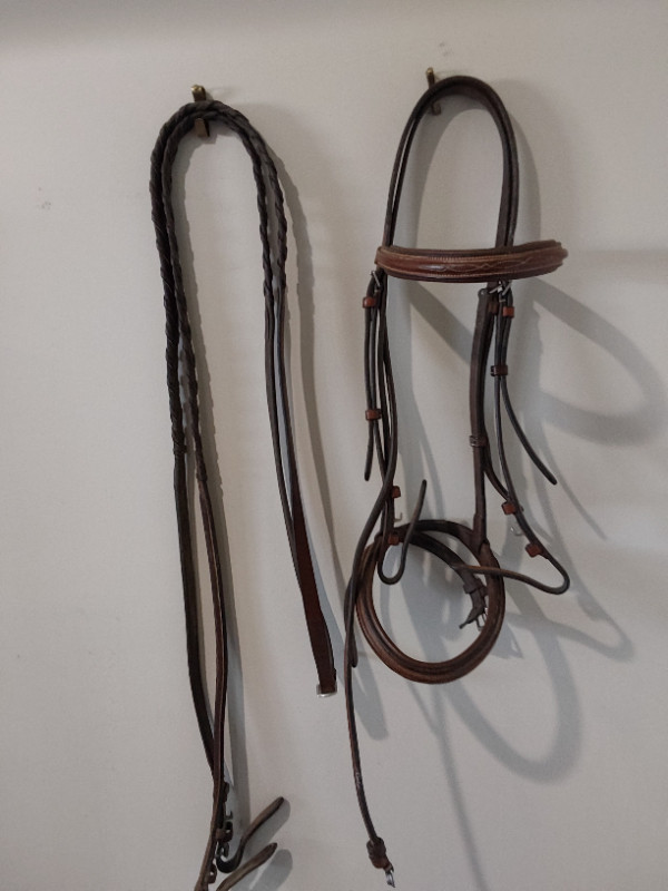 Full Bridle, reins and bit in Equestrian & Livestock Accessories in Trenton - Image 3