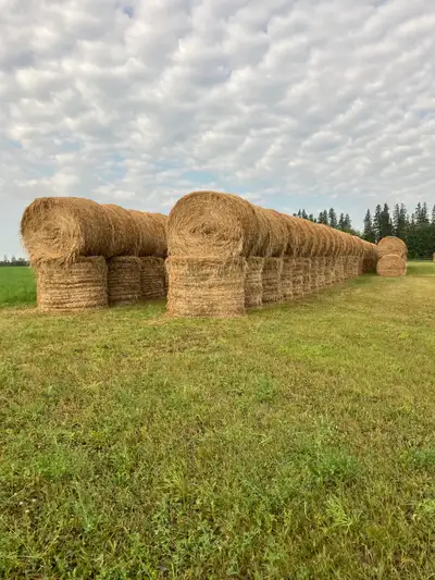 Hay for Sale, View more