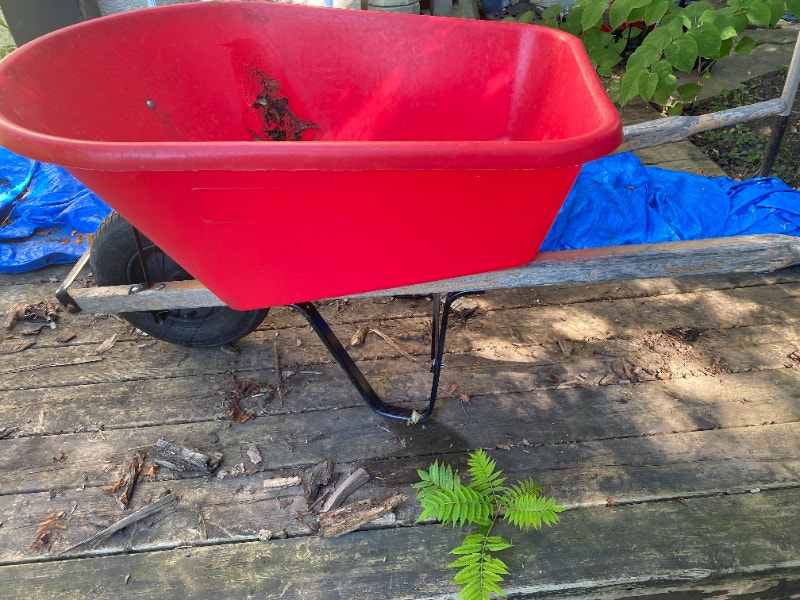 Brouette / Wheelbarrow Outils d'extérieur et entreposage Ouest de l