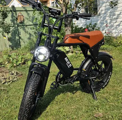 Brand new Dalat V1 Ebike 2026, View more