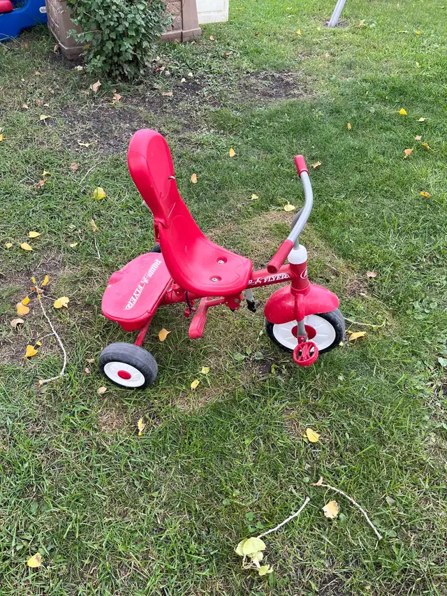Radio Flyer Tricycle63771549836545120