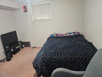 Room for rent