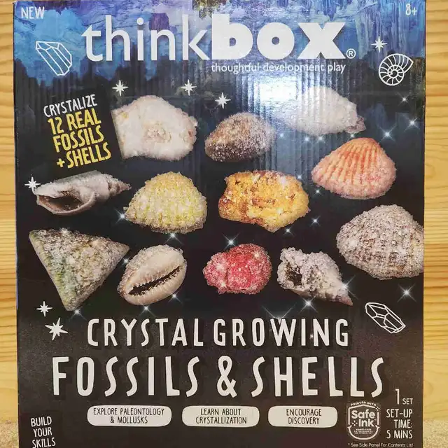 Crystal Growing Fossils And Shells in Toys & Games in Markham / York Region - Image 2