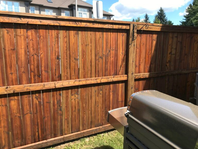 Fence and Deck Painting/Staining in Painters & Painting in Mississauga / Peel Region - Image 2