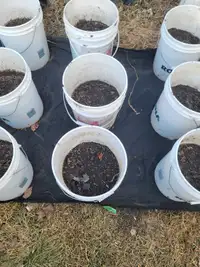 5 gallon planting containers 
