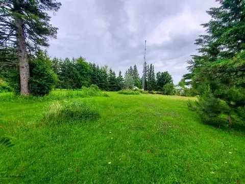 Gorgeous Lot Charlton Ontario, Option to Finance by owner in Land for Sale in Sudbury - Image 7