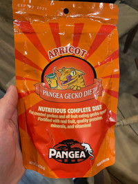 Pangea gecko diet 