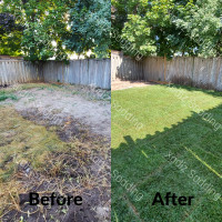 Sod Installation + (Power Wash Combo Available)